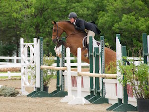 Palladia Farm Hunters and Jumpers in Illinois