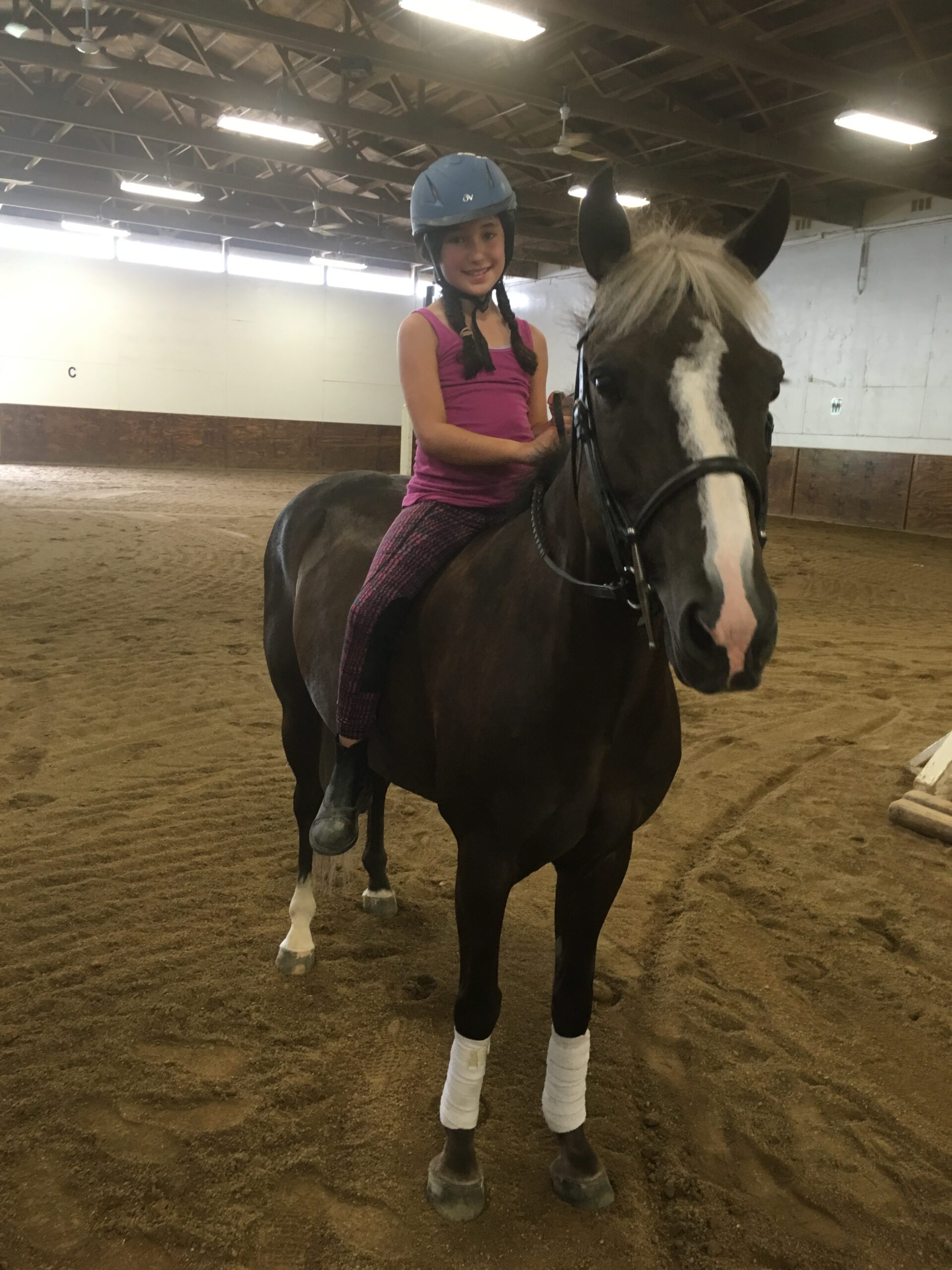 Palladia Farm | Riding Lessons